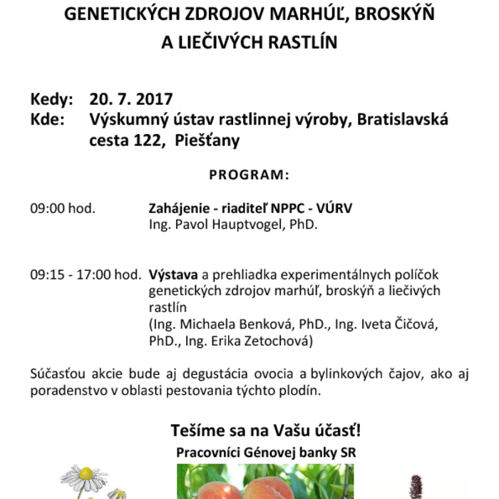 obrázok