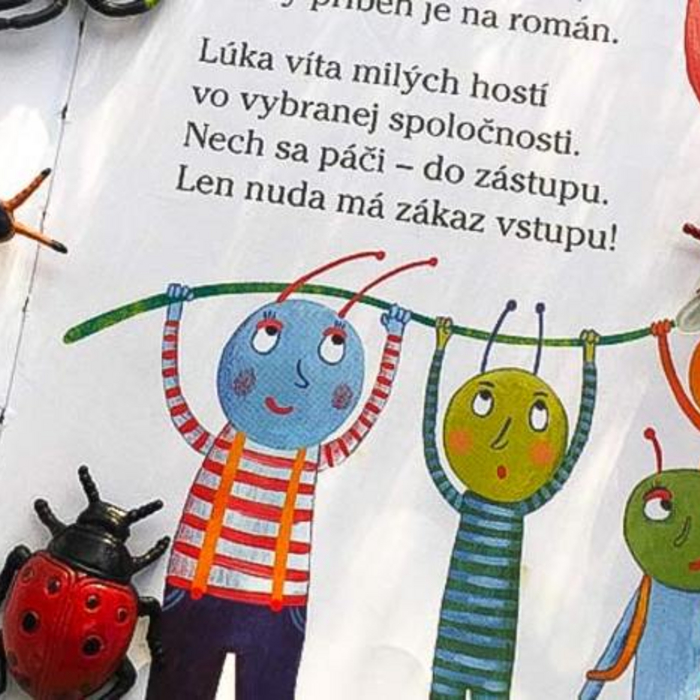 obrázok
